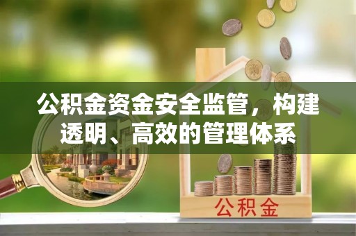 曲麻莱公积金资金安全监管，构建透明、高效的管理体系