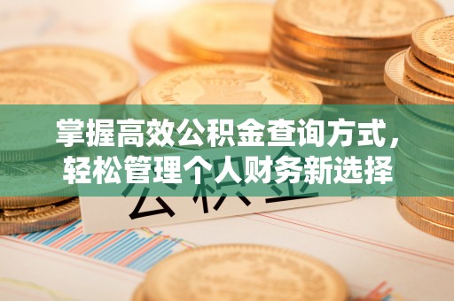 曲麻莱掌握高效公积金查询方式，轻松管理个人财务新选择