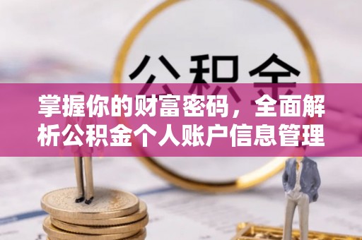 曲麻莱掌握你的财富密码，全面解析公积金个人账户信息管理