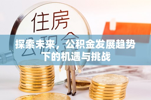 曲麻莱探索未来，公积金发展趋势下的机遇与挑战