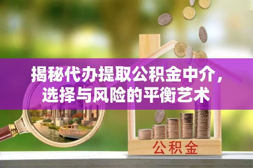 曲麻莱揭秘代办提取公积金中介，选择与风险的平衡艺术